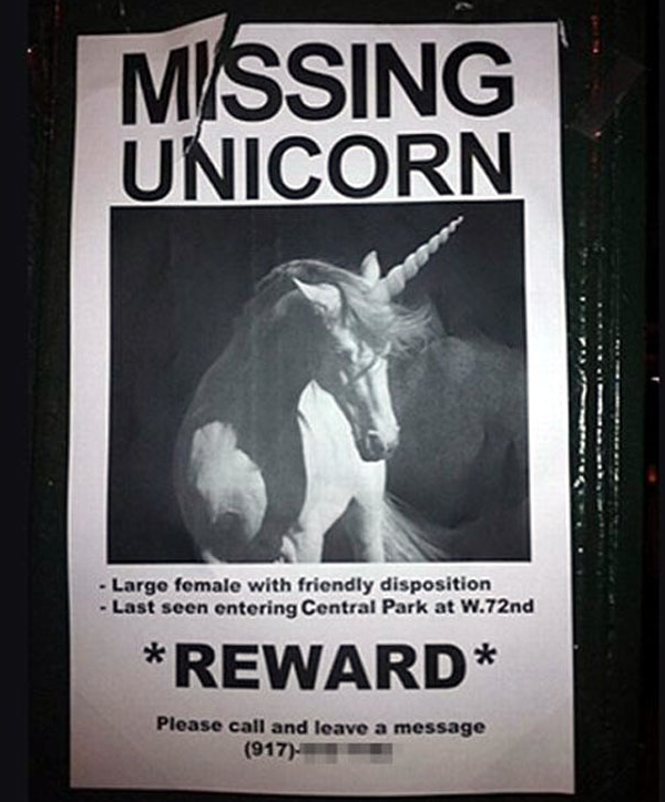 Missing Unicorn Largo female with friendly disposition Last seen entering Central Park at W.72nd Reward Please call and leave a message 917