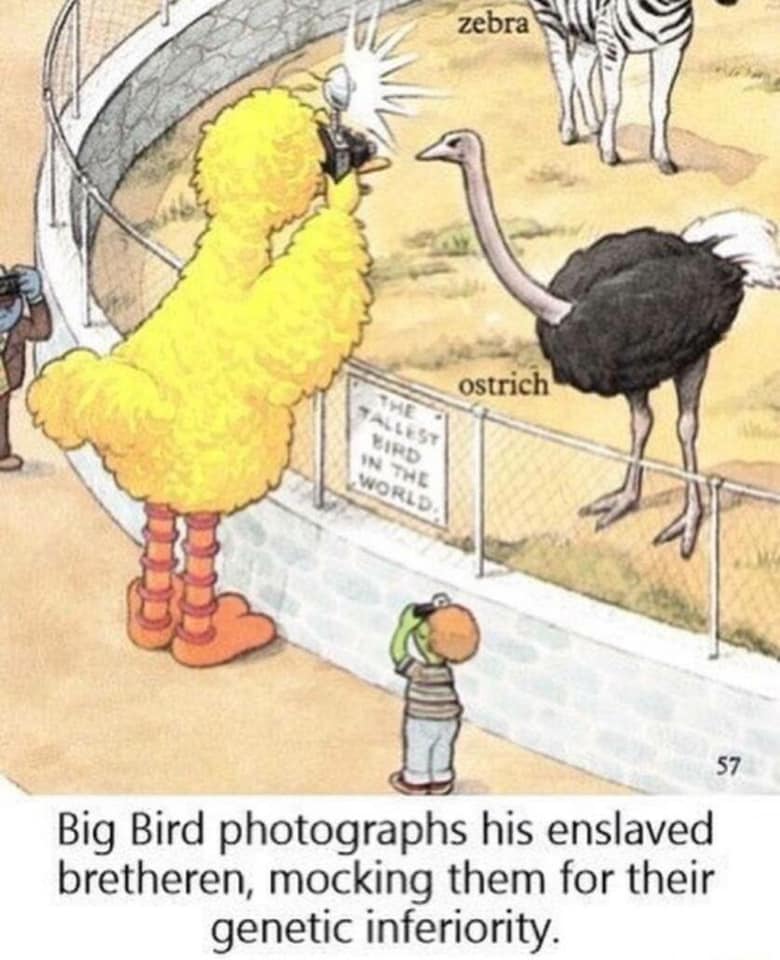 dank big bird memes - zebra ostrich In The World 57 Big Bird photographs his enslaved bretheren, mocking them for their genetic inferiority.