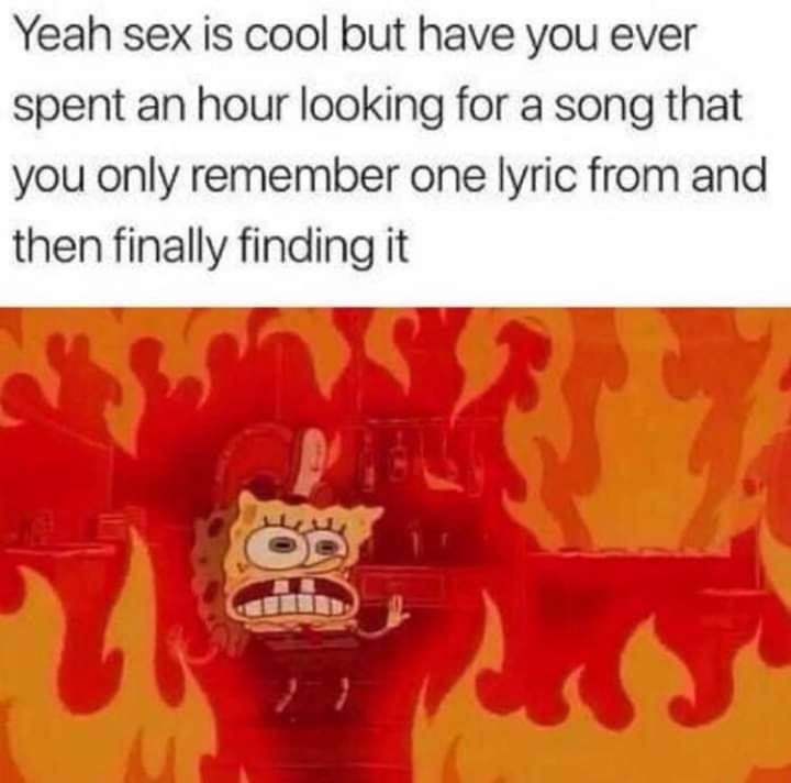 spongebob fire meme - Yeah sex is cool but have you ever spent an hour looking for a song that you only remember one lyric from and then finally finding it