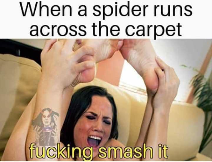 spider runs across the carpet smash it meme - When a spider runs across the carpet fucking smash it