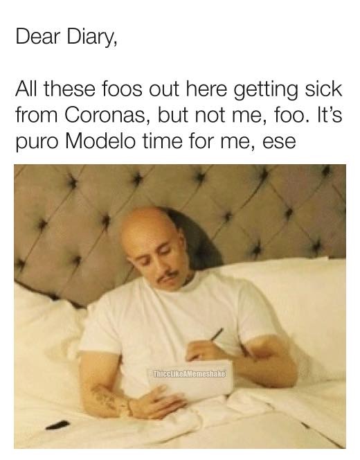 dear diary cholo meme - Dear Diary, All these foos out here getting sick from Coronas, but not me, foo. It's puro Modelo time for me, ese ThceliteAMemeshake