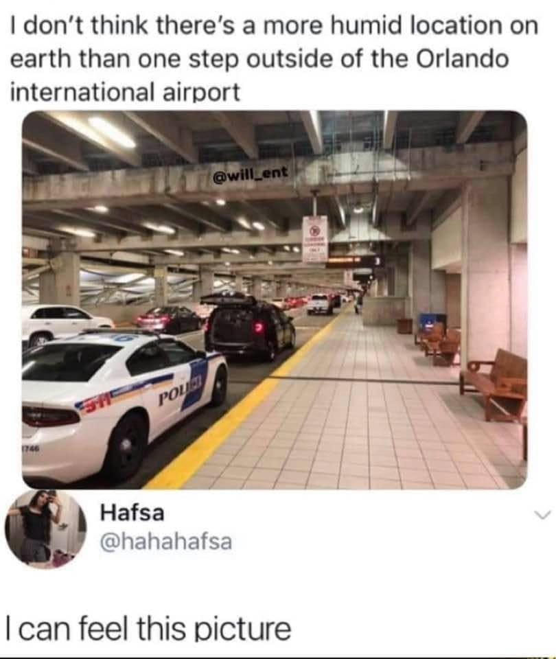 orlando international airport meme - I don't think there's a more humid location on earth than one step outside of the Orlando international airport Hafsa I can feel this picture