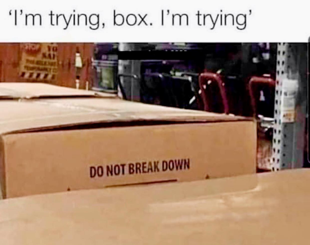 do not break down meme - I'm trying, box. I'm trying' Do Not Break Down