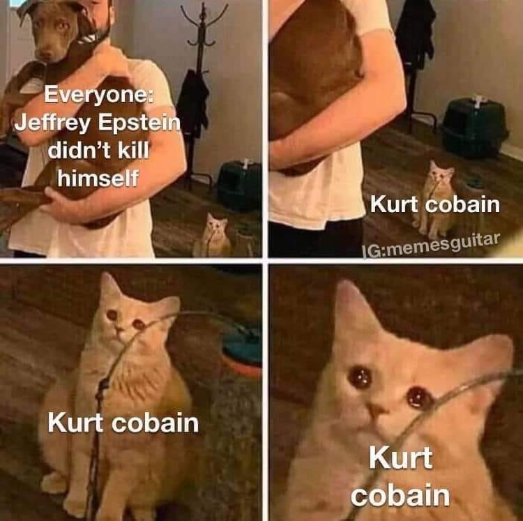 sad jealous cat - Everyone Jeffrey Epstein didn't kill himself Kurt cobain Igmemesguitar Kurt cobain Kurt cobain