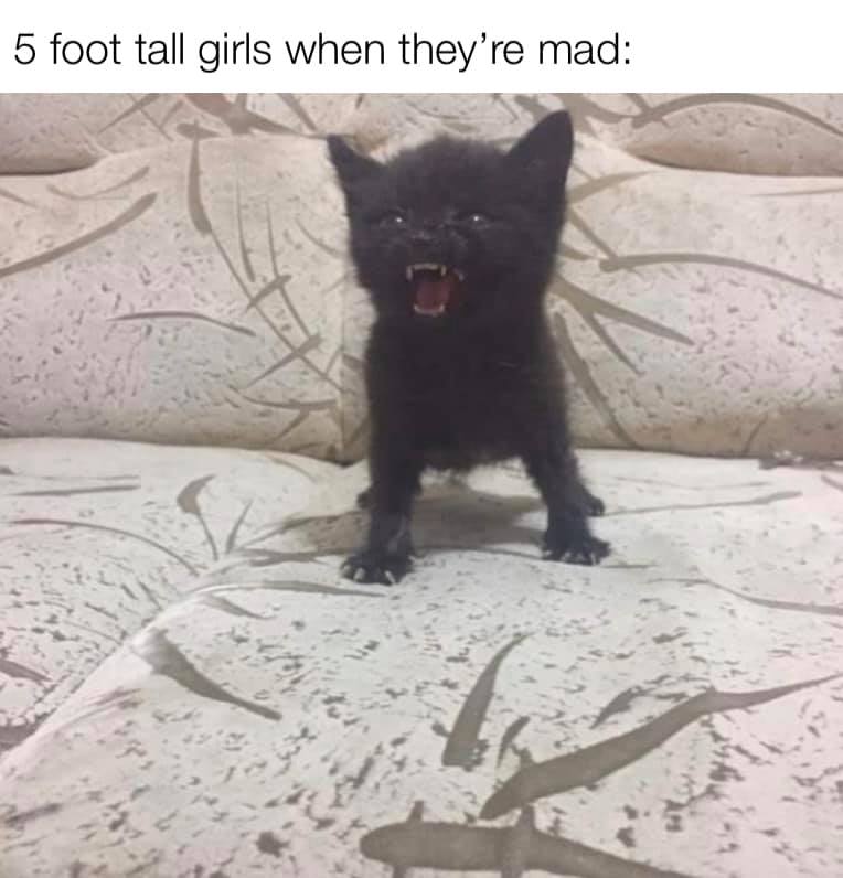 am the night fear me - 5 foot tall girls when they're mad