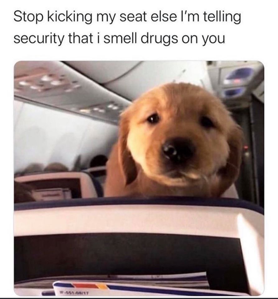 can you stop kicking my seat plz - Stop kicking my seat else I'm telling security that i smell drugs on you Ws