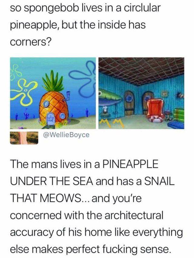 spongebob lives in a pineapple meme - so spongebob lives in a circlular pineapple, but the inside has corners? no Sm Boyce The mans lives in a Pineapple Under The Sea and has a Snail That Meows... and you're concerned with the architectural accuracy of hi