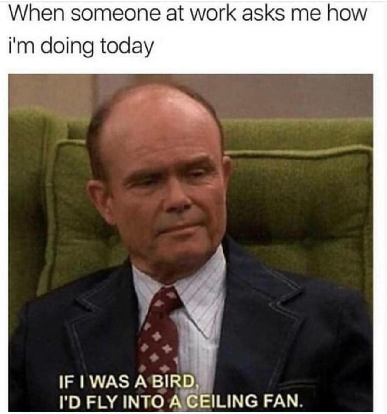 funny work memes - When someone at work asks me how i'm doing today If I Was A Bird I'D Fly Into A Ceiling Fan.