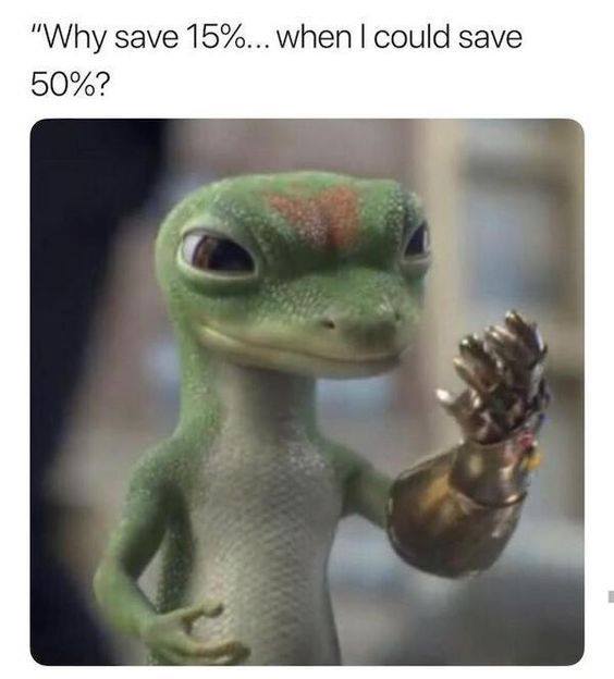 funny animals - "Why save 15%... when I could save 50%?