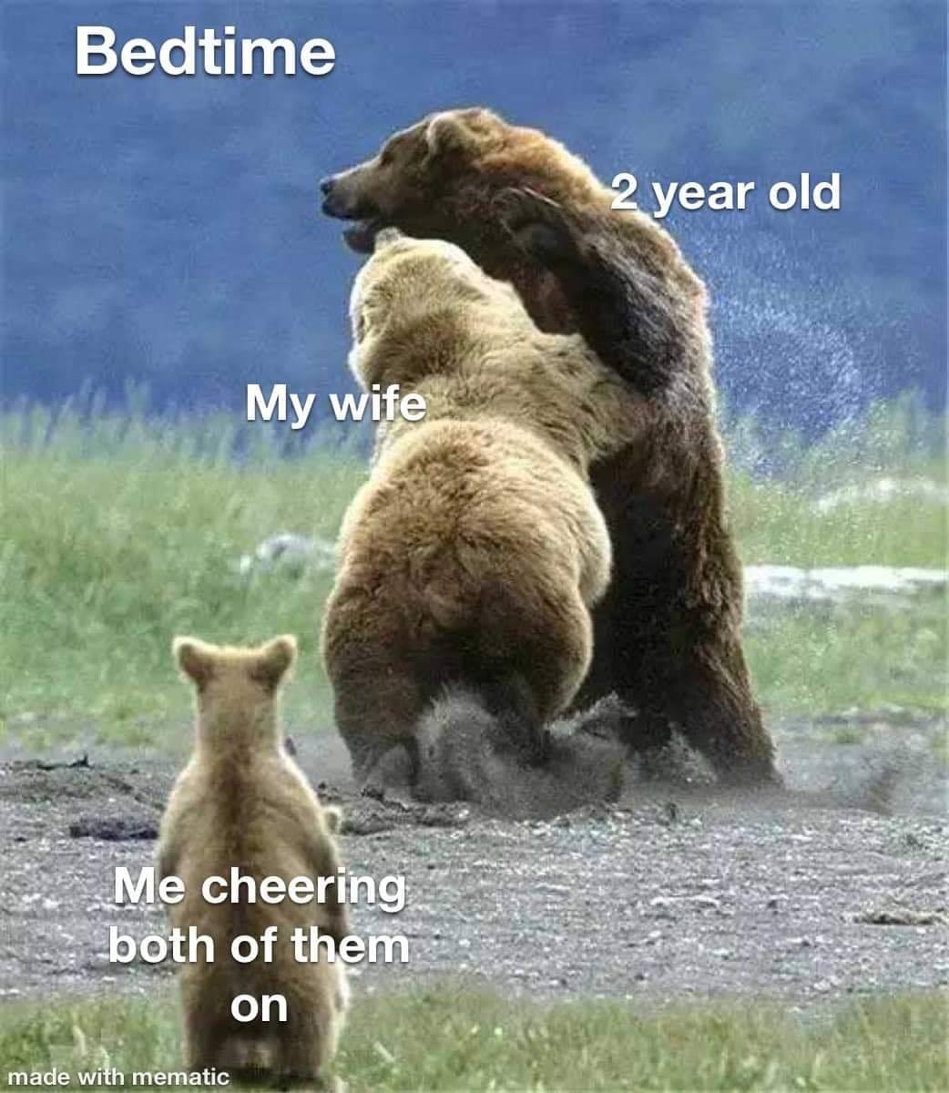 bears fighting cub - Bedtime 2 year old My wife My wife Me cheering both of them on made with mematic