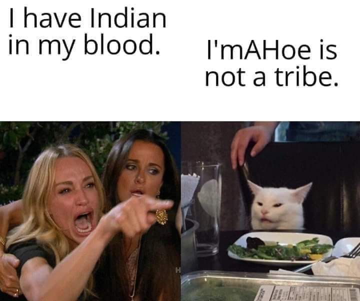 cat meme imahoe is not a tribe - Thave Indian in my blood. I' mAHoe is not a tribe.