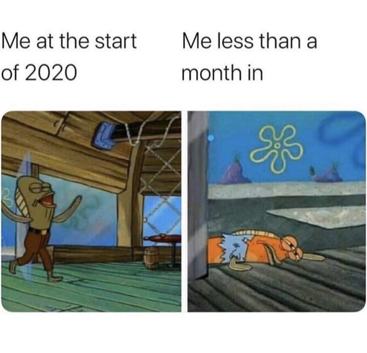 cartoon - Me at the start of 2020 Me less than a month in