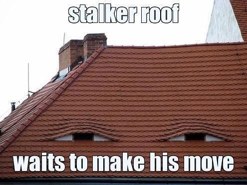 stalker roof - stalker roof waits to make his move