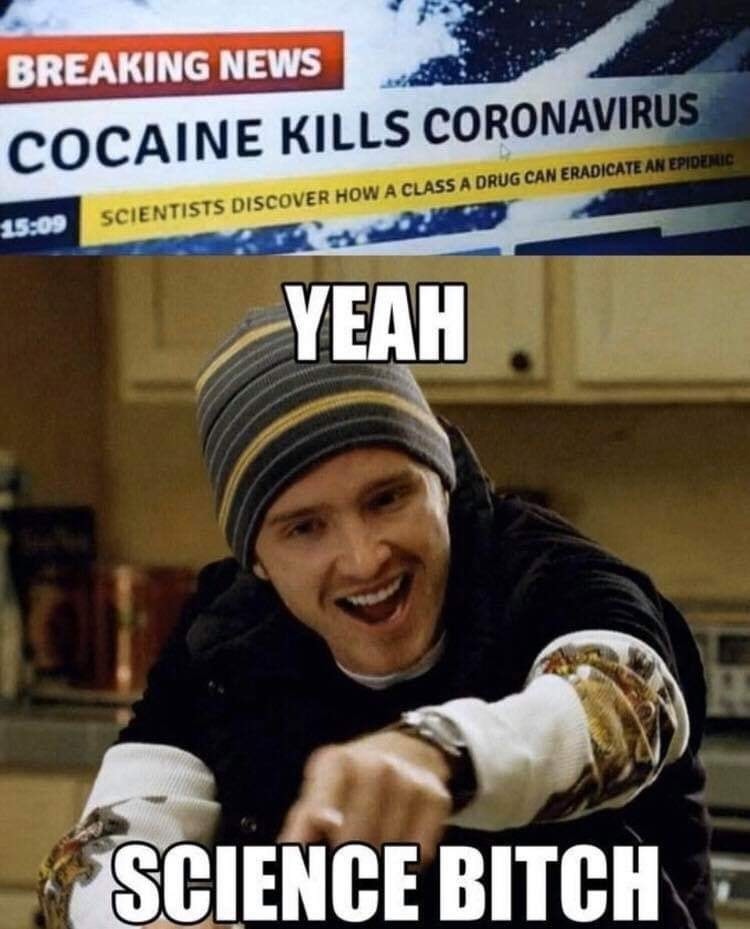 science bitch - Breaking News Cocaine Kills Coronavirus Scientists Discover How A Class A Drug Can Eradicate An Epidemic Yeah Science Bitch