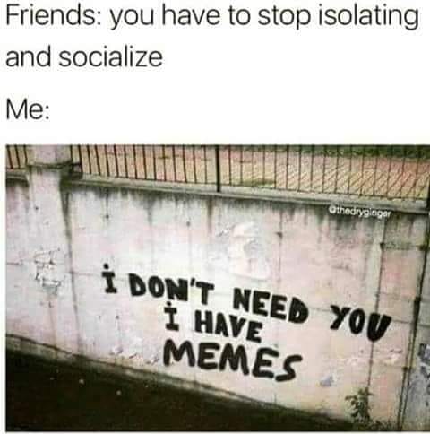 don t need you i have memes - Friends you have to stop isolating and socialize Me Othedryong I Don'T Need You Have Memes
