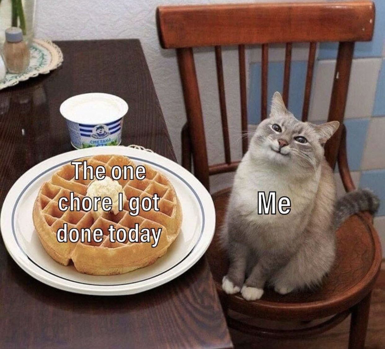 waffle cat meme - The one chore I got done today Me