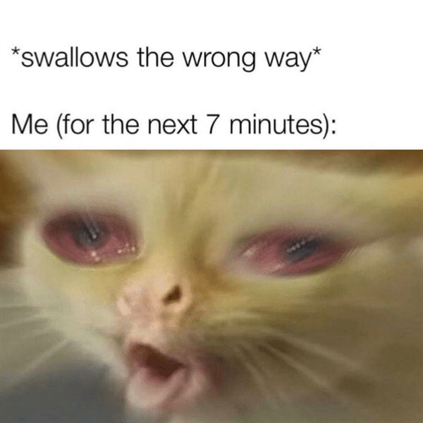 swallow the wrong way meme - swallows the wrong way Me for the next 7 minutes
