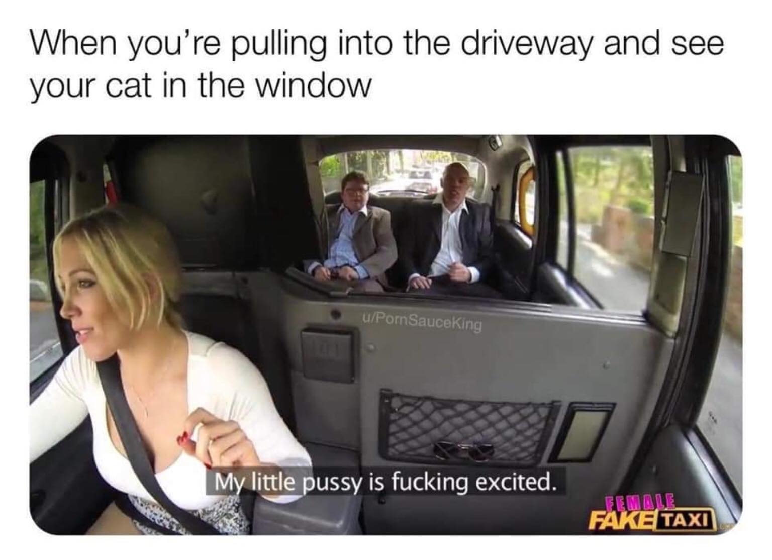 car - When you're pulling into the driveway and see your cat in the window UPornSauceking My little pussy is fucking excited. Female Fake Taxi