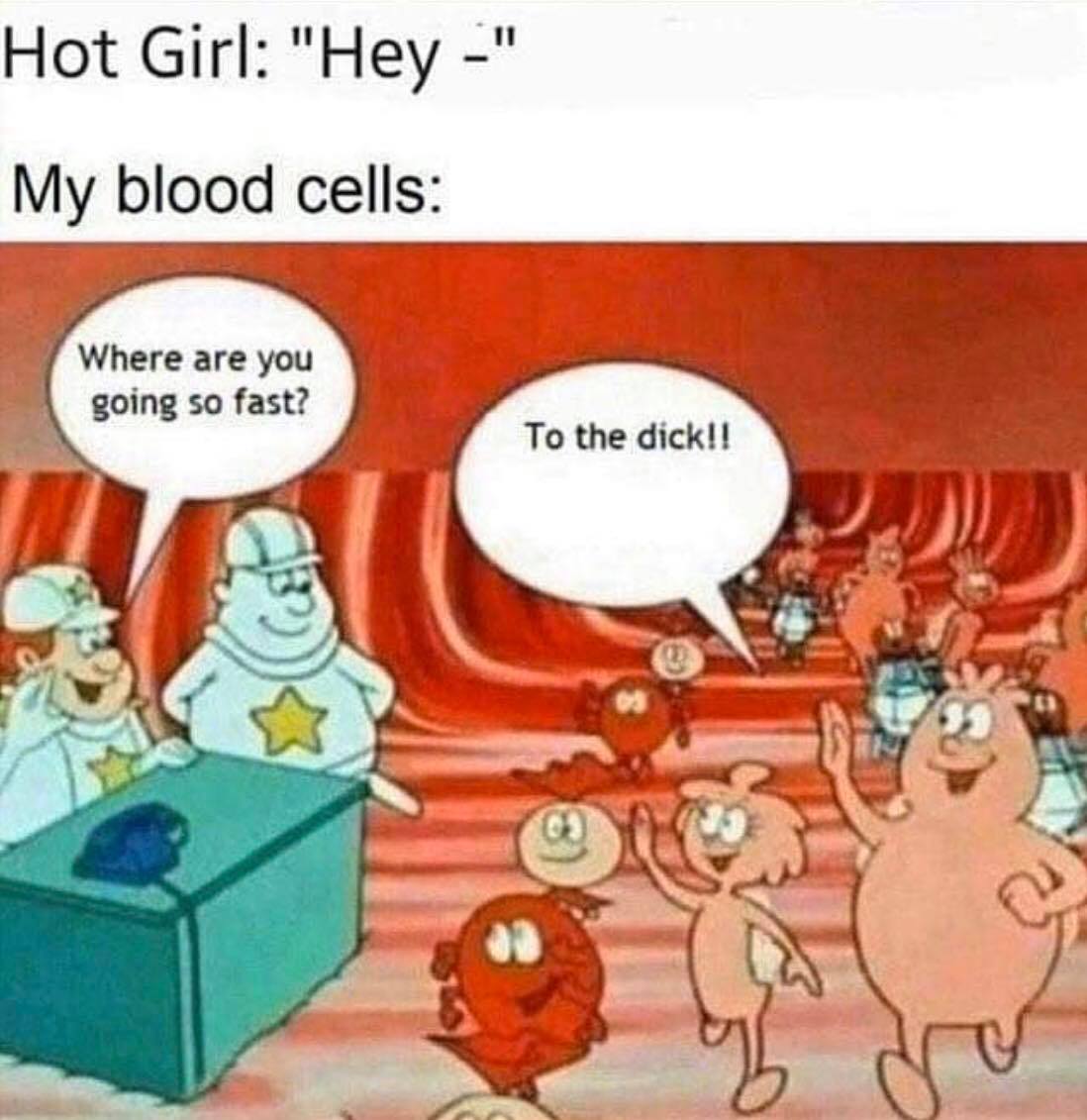 blood cells meme - Hot Girl "Hey " My blood cells Where are you going so fast? To the dick!!