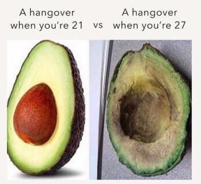 avocado meme - A hangover A hangover when you're 21 vs when you're 27