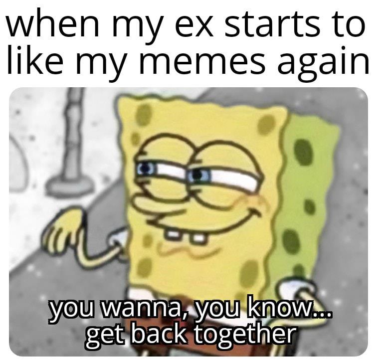 he you know - when my ex starts to my memes again you wanna, you know... get back together