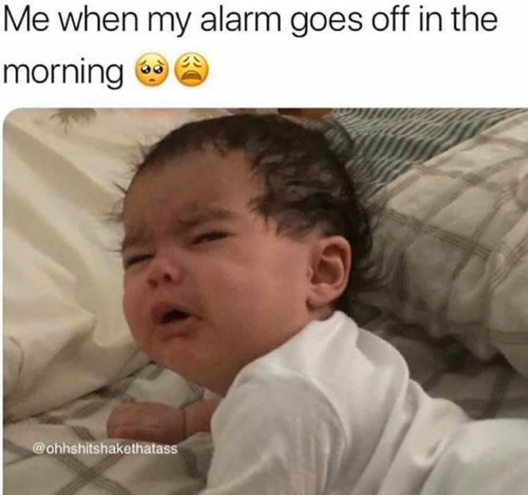 Humour - Me when my alarm goes off in the morning 63 @