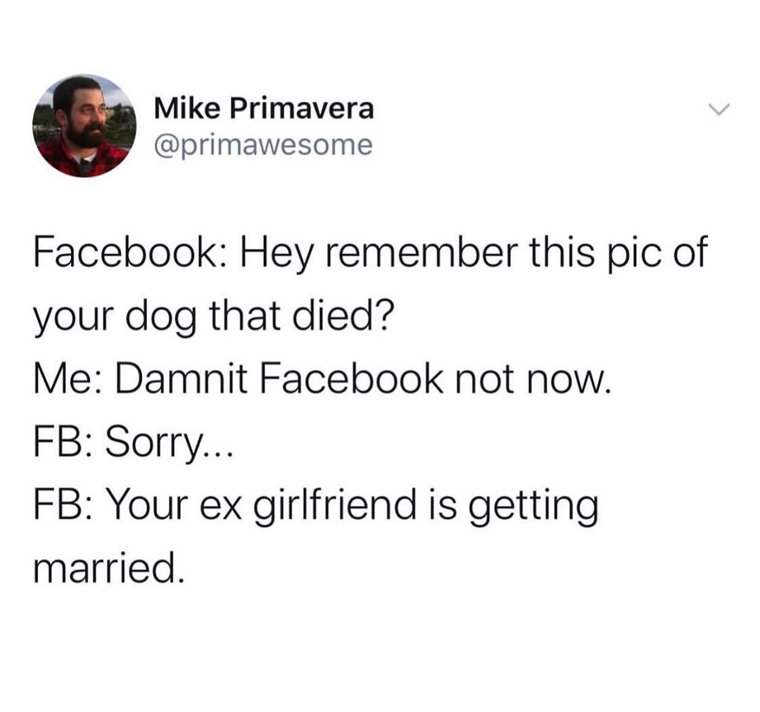 glaze turkey lsd - Mike Primavera Facebook Hey remember this pic of your dog that died? Me Damnit Facebook not now. Fb Sorry... Fb Your ex girlfriend is getting married.