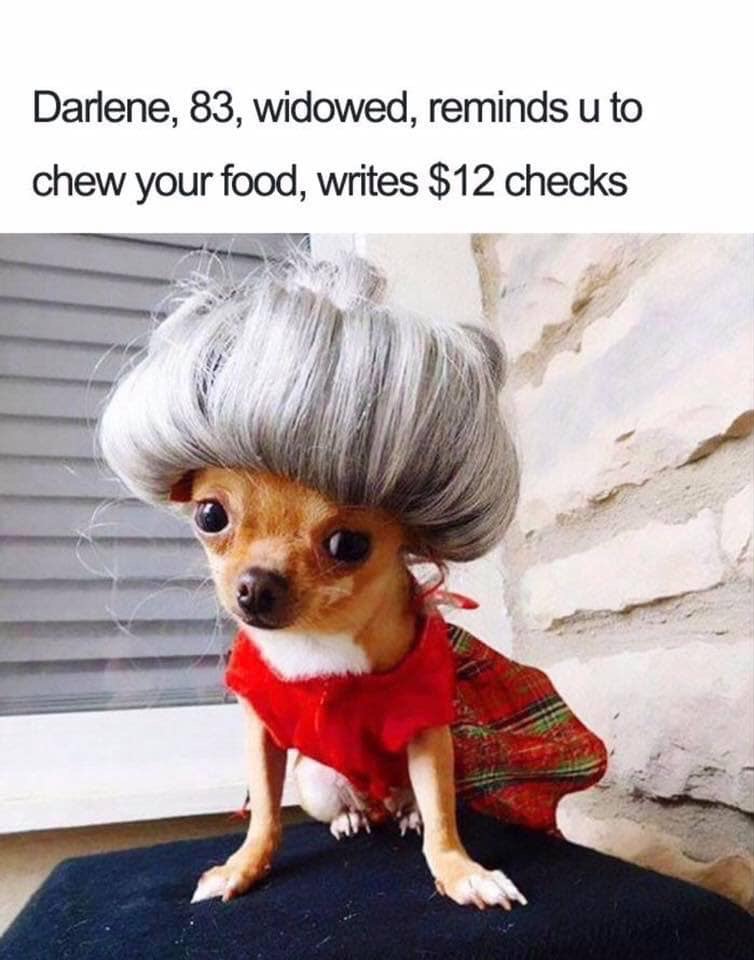 funny dog personality - Darlene, 83, widowed, reminds u to chew your food, writes $12 checks