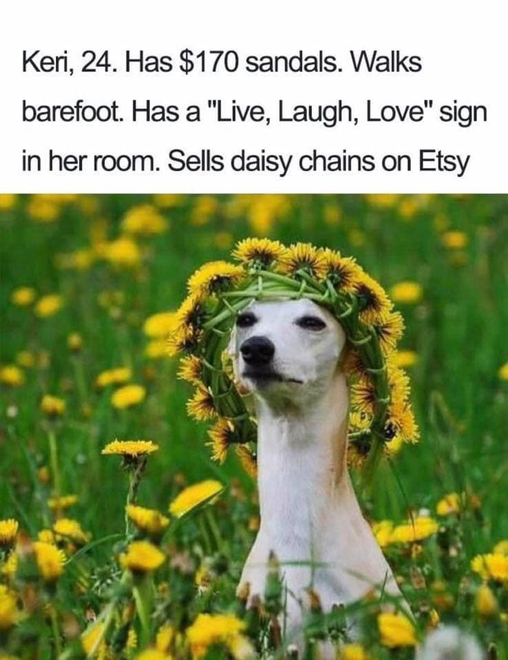 funny dog bios - Keri, 24. Has $170 sandals. Walks barefoot. Has a "Live, Laugh, Love" sign in her room. Sells daisy chains on Etsy