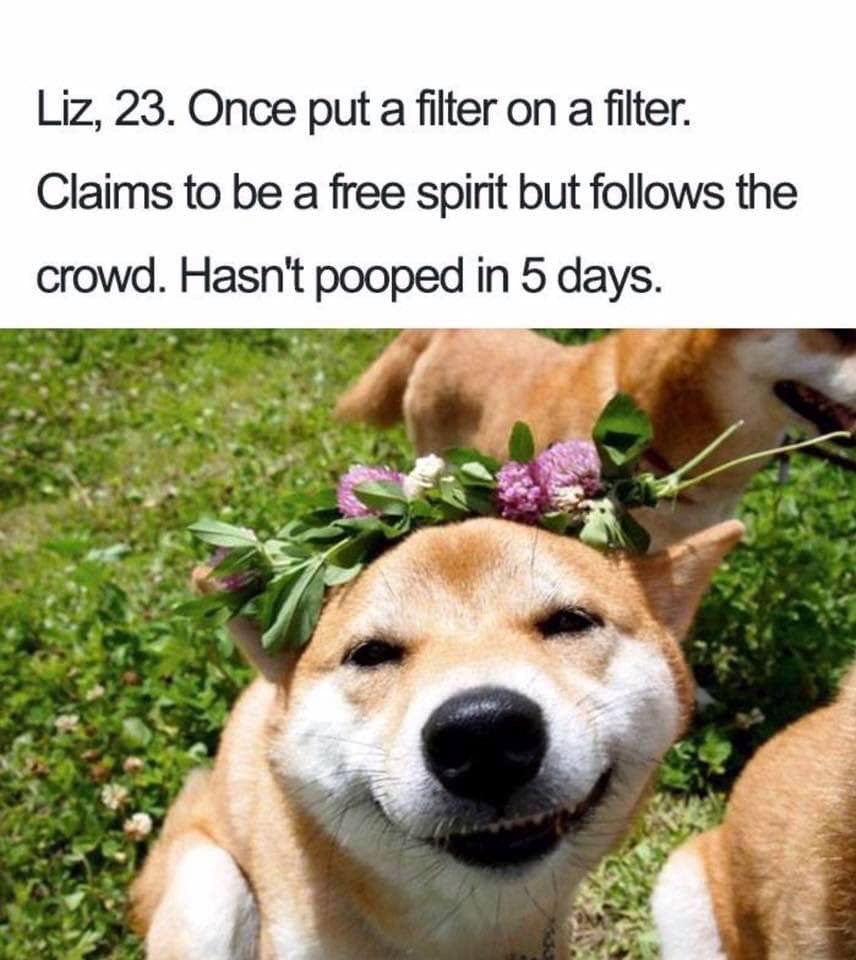 doggo bios - Liz, 23. Once put a filter on a filter. Claims to be a free spirit but s the crowd. Hasn't pooped in 5 days.