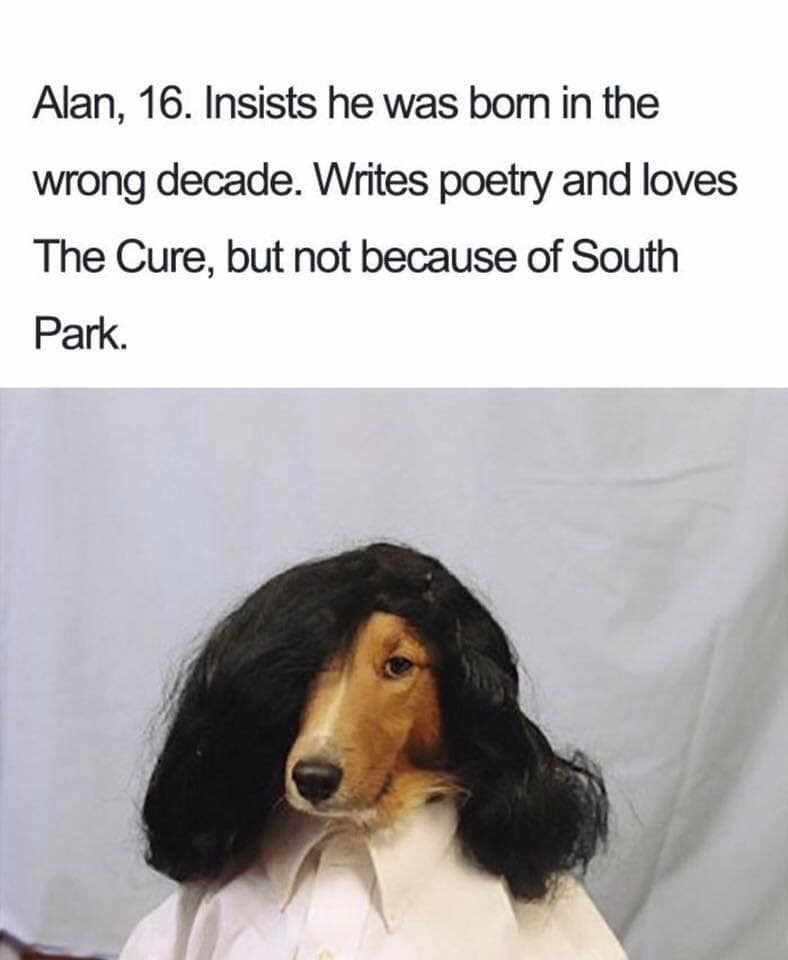 dogs with wigs - Alan, 16. Insists he was born in the wrong decade. Writes poetry and loves The Cure, but not because of South Park.