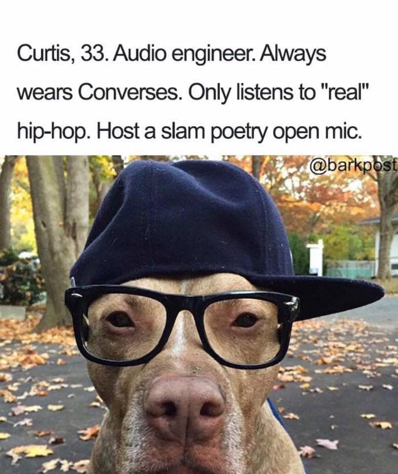 dog bios - Curtis, 33. Audio engineer. Always wears Converses. Only listens to "real" hiphop. Host a slam poetry open mic.