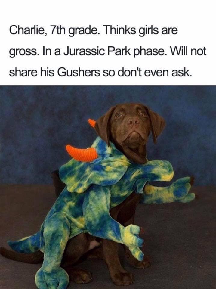 dog bio memes - Charlie, 7th grade. Thinks girls are gross. In a Jurassic Park phase. Will not his Gushers so don't even ask.