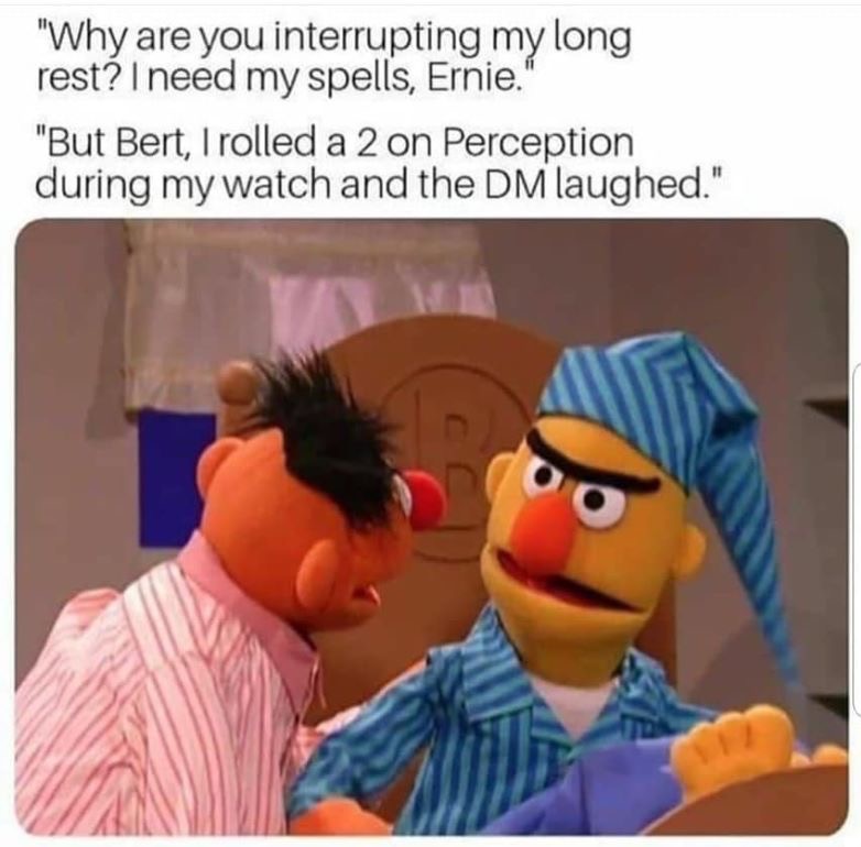 bert and ernie d&d memes - "Why are you interrupting my long rest? I need my spells, Ernie. "But Bert, I rolled a 2 on Perception during my watch and the Dm laughed."
