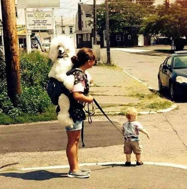 baby leash funny