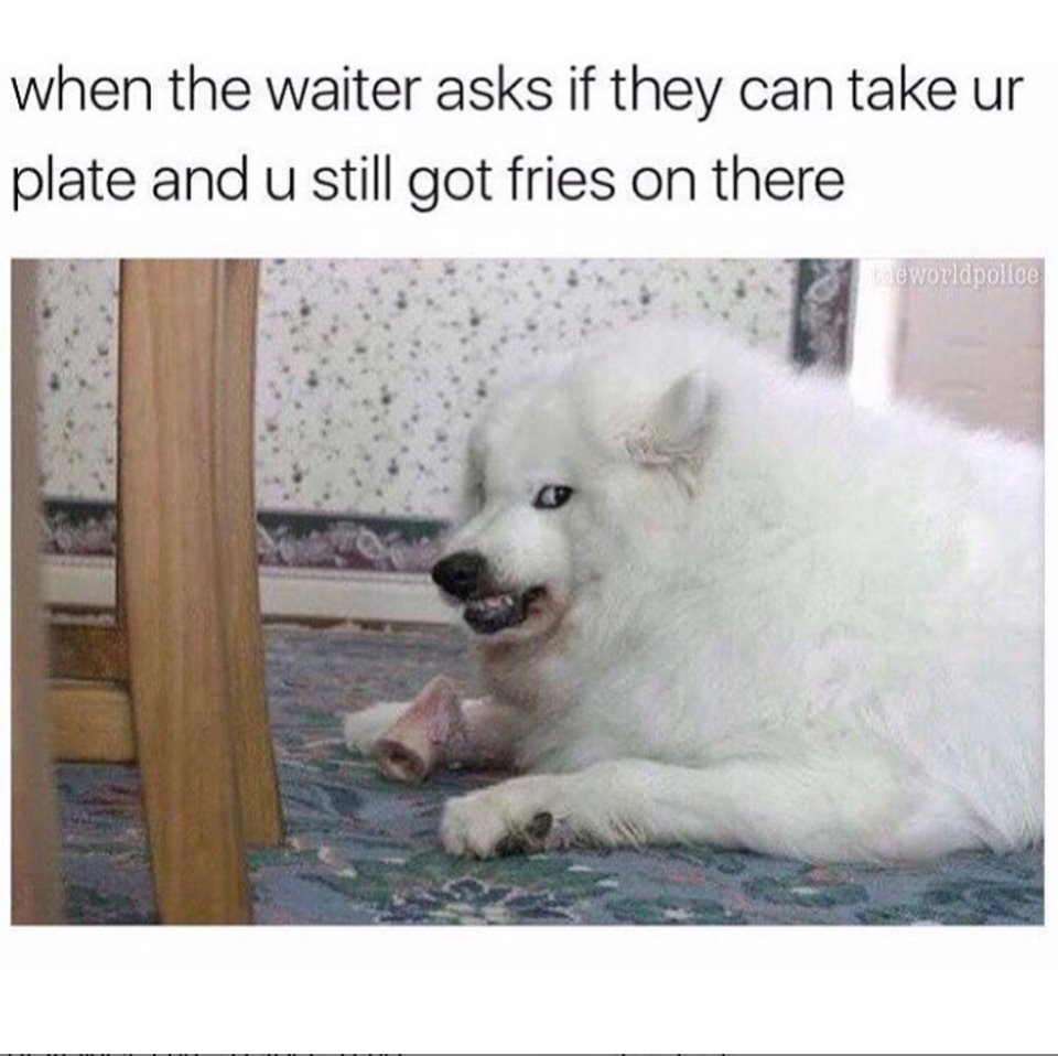 waiter asks if they can take your plate - when the waiter asks if they can take ur plate and u still got fries on there hae worldpolice