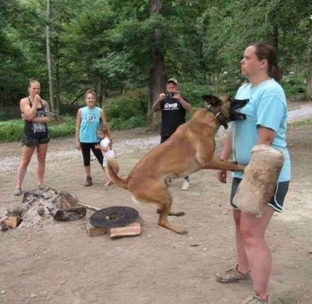 dog biting boob