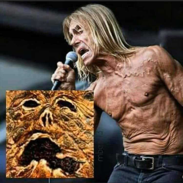 iggy pop funny - mbo