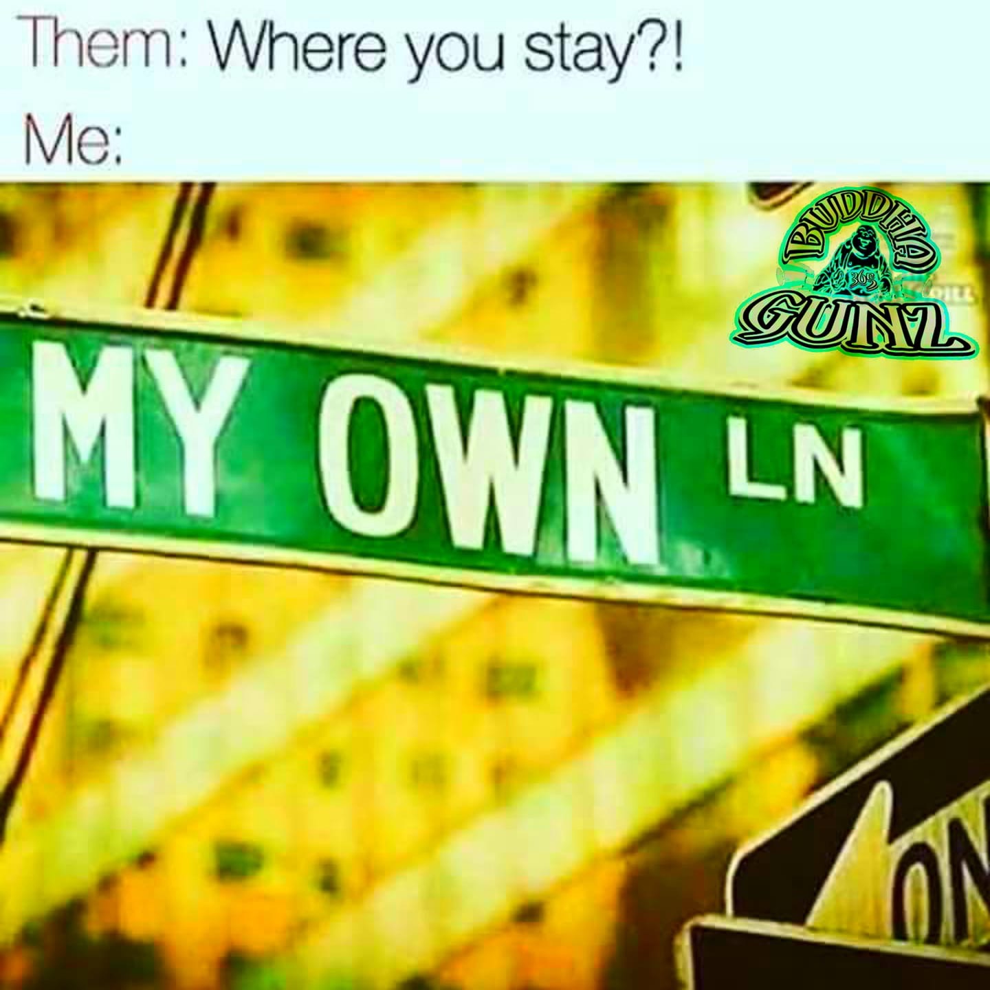 my own ln - Them Where you stay?! Me Gun My Own Ln