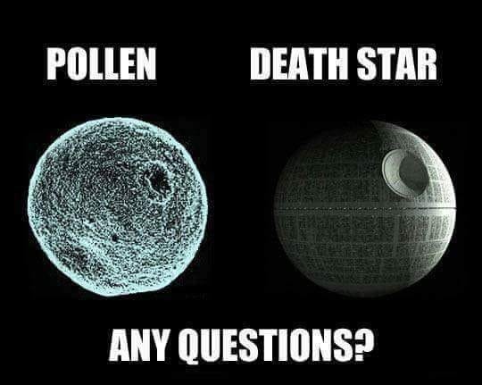pollen death star - Pollen Death Star Any Questions?