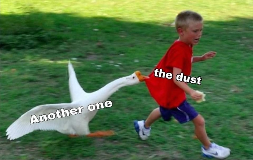 goose chasing kid - the dust Another one