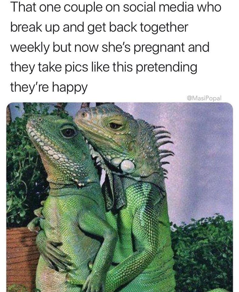 excuse me love meme - That one couple on social media who break up and get back together weekly but now she's pregnant and they take pics this pretending they're happy Popal