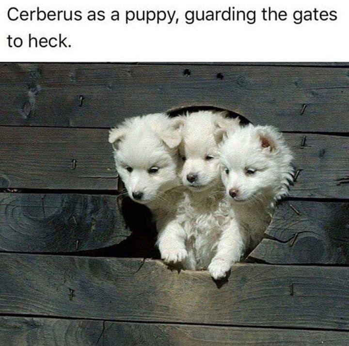 cerberus as a puppy guarding the gates - Cerberus as a puppy, guarding the gates to heck.