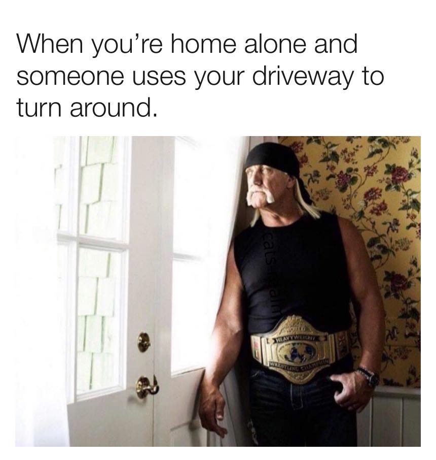 hulk hogan window - When you're home alone and someone uses your driveway to turn around. Wrestle