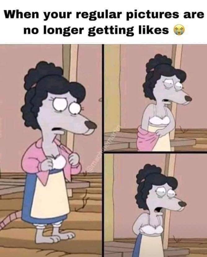 your regular pictures are no longer getting likes - When your regular pictures are no longer getting