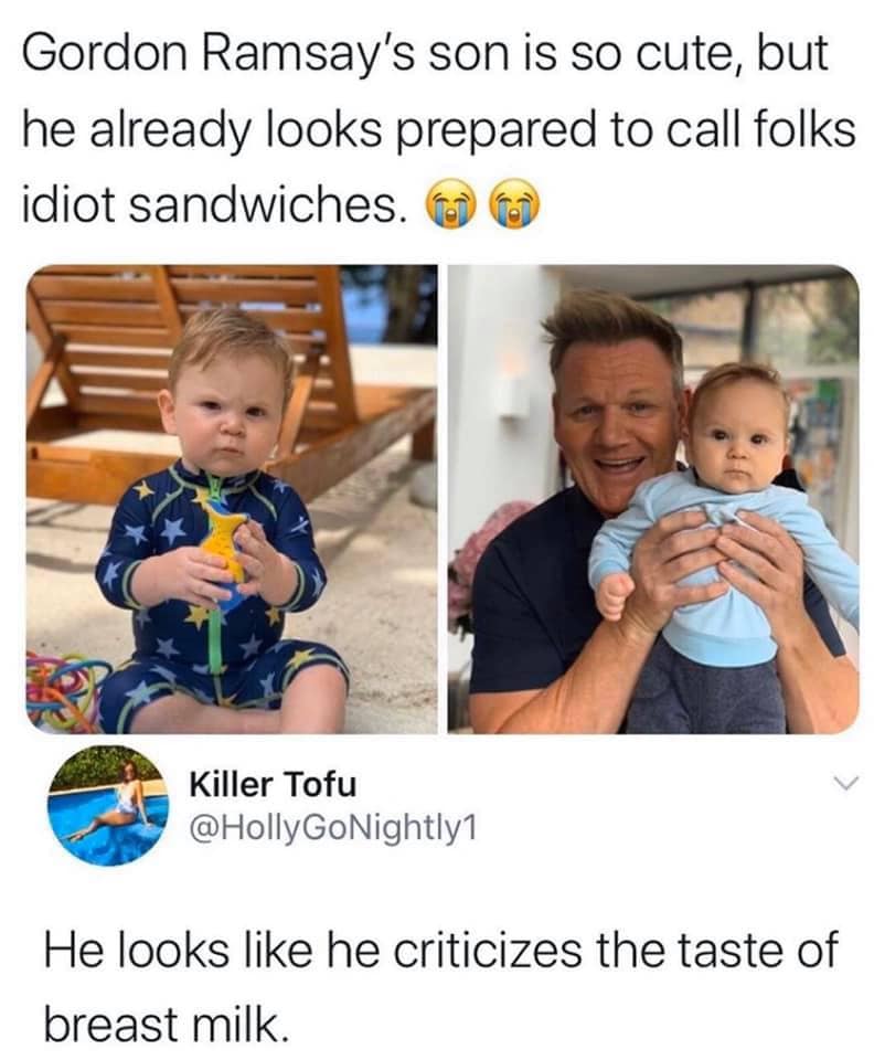 toddler - Gordon Ramsay's son is so cute, but he already looks prepared to call folks idiot sandwiches. Killer Tofu He looks he criticizes the taste of breast milk.