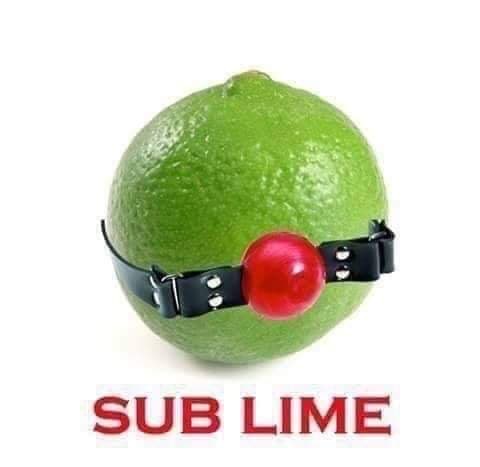sub lime meme - Sub Lime