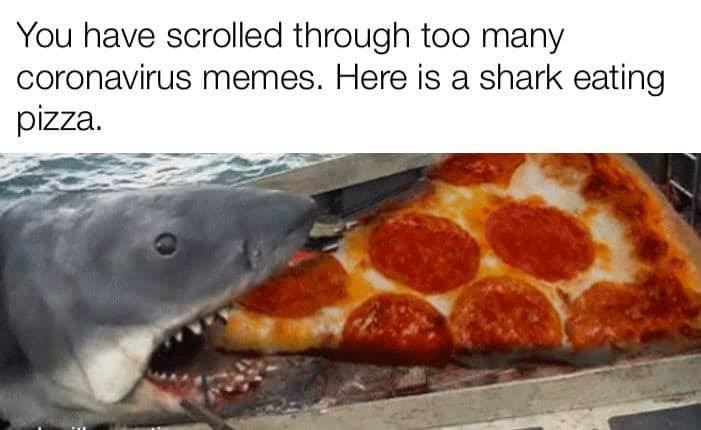 slice of pizza - You have scrolled through too many coronavirus memes. Here is a shark eating pizza.