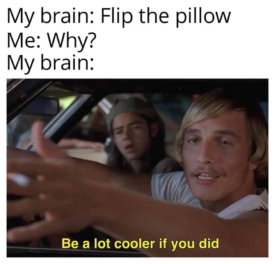 r wholesomememes - My brain Flip the pillow Me Why? My brain Be a lot cooler if you did