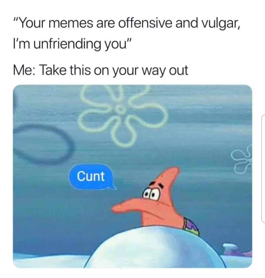 your memes are offensive and vulgar -